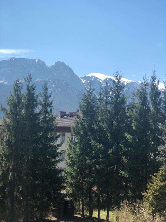 Vektron Appartement Zakopane Buitenkant foto